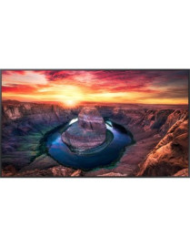 Samsung QMB Quantum Processor 4K Signage - 43" LCD - 3840 x 2160 - 500 cd/m² - 2160p - HDMI - USB - Serial - Wireless LAN - Blue