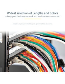 StarTech.com 75ft CAT6 Ethernet Cable - Blue Molded Gigabit - 100W PoE UTP 650MHz - Category 6 Patch Cord UL Certified Wiring/TI