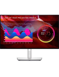 Dell UltraSharp U2422HE 23.8" Full HD WLED LCD Monitor - 16:9 - Platinum Silver - 24.00" (609.60 mm) Class - In-plane Switching 