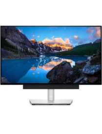 Dell UltraSharp U2422HE 23.8" Full HD WLED LCD Monitor - 16:9 - Platinum Silver - 24.00" (609.60 mm) Class - In-plane Switching 