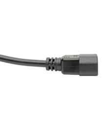 Tripp Lite P004-L02 Power Extension Cord - For Computer, Server, Printer, Monitor, PDU, UPS, PC - Black - 2 ft Cord Length - Int