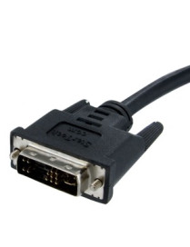 StarTech.com StarTech.com Analog Flat Panel Display Cable - Monitor cable - VGA - HD-15 (M) - DVI-A (M) - 1.8 m - Connect analog