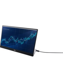 Dell C1422H 14" Full HD LCD Monitor - 16:9 - Silver - 14.00" (355.60 mm) Class - In-plane Switching (IPS) Black Technology - 192