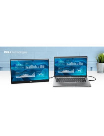 Dell C1422H 14" Full HD LCD Monitor - 16:9 - Silver - 14.00" (355.60 mm) Class - In-plane Switching (IPS) Black Technology - 192