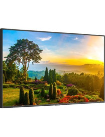 NEC Display Ultra High Definition Professional Display - 55" LCD - Touchscreen - High Dynamic Range (HDR) - 3840 x 2160 - Edge L