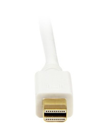 StarTech.com 6 ft Mini DisplayPort to DVI Adapter Converter Cable - Mini DP to DVI 1920x1200 - White - 6 ft DVI/Mini DisplayPort