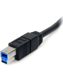 StarTech.com 6 ft Black SuperSpeed USB 3.0 Cable A to B - M/M - Type A Male USB - Type B Male USB - 6ft - Black