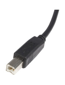 StarTech.com 10 ft USB 2.0 Certified A to B Cable - M/M - Type A Male - Type B Male - 10ft - Black