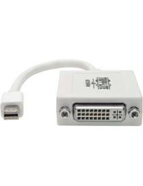 Tripp Lite 6in Mini DisplayPort to DVI Adapter Converter mDP to DVI-I M/F 6" - Mini DisplayPort Male Digital Audio/Video - DVI-I