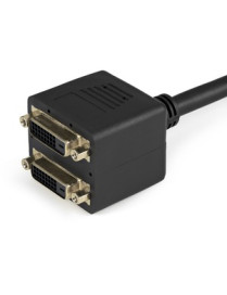 StarTech.com 1 ft DVI-D to 2x DVI-D Digital Video Splitter Cable - M/F - Connect two DVI-D displays simultaneously to a single D