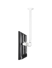 Atdec ceiling mount for large display, long pole - Loads up to 143lb - White - Universal VESA up to 800x500 - Upgradeable - 360°