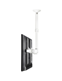 Atdec ceiling mount for large display, short pole - Loads up to 143lb - White - Universal VESA up to 800x500 - Upgradeable - 360