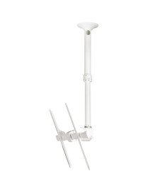 Atdec ceiling mount for large display, short pole - Loads up to 143lb - White - Universal VESA up to 800x500 - Upgradeable - 360