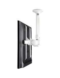 Atdec ceiling mount for large display, short pole - Loads up to 143lb - White - Universal VESA up to 800x500 - Upgradeable - 360