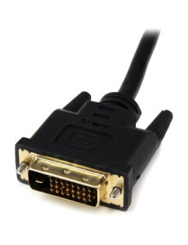 StarTech.com 8in HDMI® to DVI-D Video Cable Adapter - HDMI Female to DVI Male - Connect a DVI-D device to an HDMI-enabled device