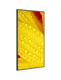 NEC Display 43" Ultra High Definition Commercial Display - 43" LCD - High Dynamic Range (HDR) - 3840 x 2160 - Direct LED - 400 c