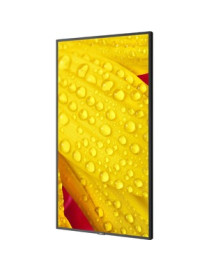 NEC Display 43" Ultra High Definition Commercial Display - 43" LCD - High Dynamic Range (HDR) - 3840 x 2160 - Direct LED - 400 c