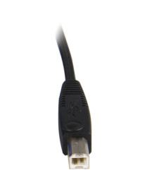 StarTech.com 6 ft 2-in-1 USB KVM Cable - for KVM Switch - 6 ft - 1 Pack