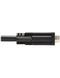 Tripp Lite Adapter Cable - Male DisplayPort - DVI-D Male Video - 1.83m - Black