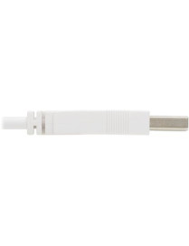 Tripp Lite Safe-IT USB-A to USB Micro-B Antibacterial Cable (M/M), USB 2.0, White, 6 ft. - 6 ft Micro-USB/USB Data Transfer Cabl