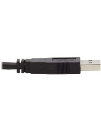 Tripp Lite KVM Cable - 6 ft KVM Cable for KVM Switch, Computer, Monitor - First End: 1 x Mini-phone Audio - Male, 1 x DisplayPor