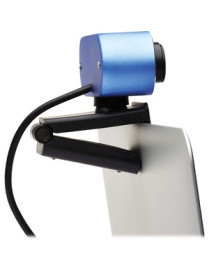 Tripp Lite AWC-002 Webcam - 2 Megapixel - 30 fps - Black, Blue - USB 2.0 - 1920 x 1080 Video - Microphone - Notebook, Computer, 