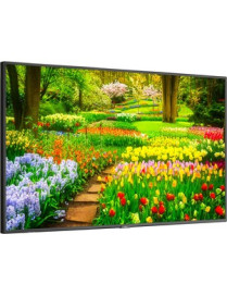 NEC Display 49" Ultra High Definition Professional Display - 49" LCD - High Dynamic Range (HDR) - 3840 x 2160 - Edge LED - 500 c