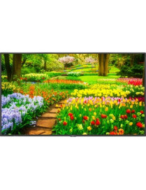 NEC Display 49" Ultra High Definition Professional Display - 49" LCD - High Dynamic Range (HDR) - 3840 x 2160 - Edge LED - 500 c