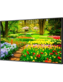 NEC Display 49" Ultra High Definition Professional Display - 49" LCD - High Dynamic Range (HDR) - 3840 x 2160 - Edge LED - 500 c