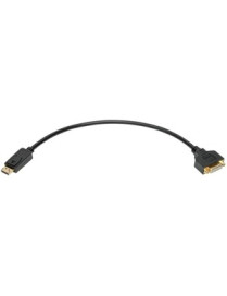 Tripp Lite P134-001-GC DisplayPort to DVI Cable Adapter - M/F, Black, 1 ft. - 1 ft DisplayPort/DVI-I Video Cable for Video Devic