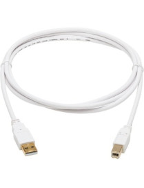 Tripp Lite Safe-IT USB-A to USB-B Antibacterial Cable (M/M), USB 2.0, White, 6 ft. - 6 ft USB/USB-B Data Transfer Cable for Comp