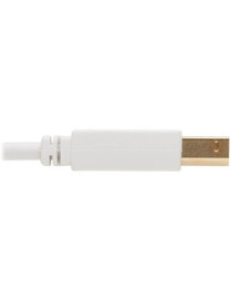 Tripp Lite Safe-IT USB-A to USB-B Antibacterial Cable (M/M), USB 2.0, White, 6 ft. - 6 ft USB/USB-B Data Transfer Cable for Comp