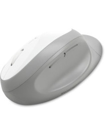 Kensington Pro Fit Ergo Wireless Mouse-Gray - Wireless - Bluetooth/Radio Frequency - 2.40 GHz - Gray - USB - 1600 dpi - 5 Button