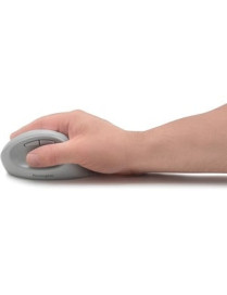 Kensington Pro Fit Ergo Wireless Mouse-Gray - Wireless - Bluetooth/Radio Frequency - 2.40 GHz - Gray - USB - 1600 dpi - 5 Button