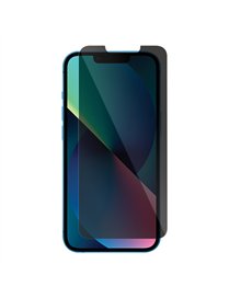 13PRO APPL PRVCY TMP GLSS
