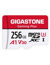 256GB GMPLUS MICRO SD CRD