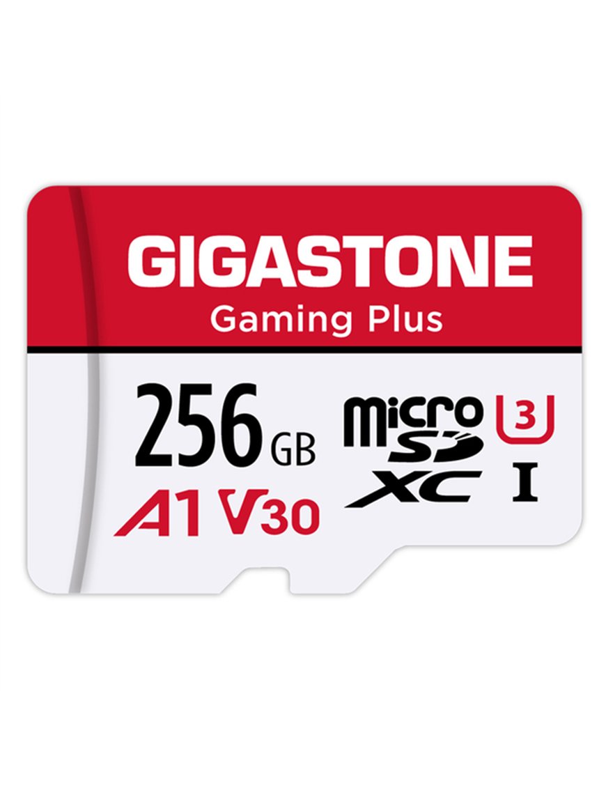 256GB GMPLUS MICRO SD CRD
