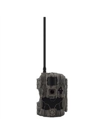 32MP TRANSMIT CELLR CAM