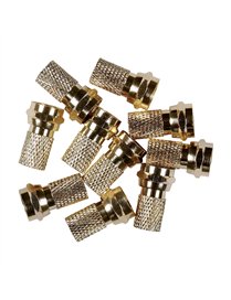 10PK GOLD PLT TWIST ONRG