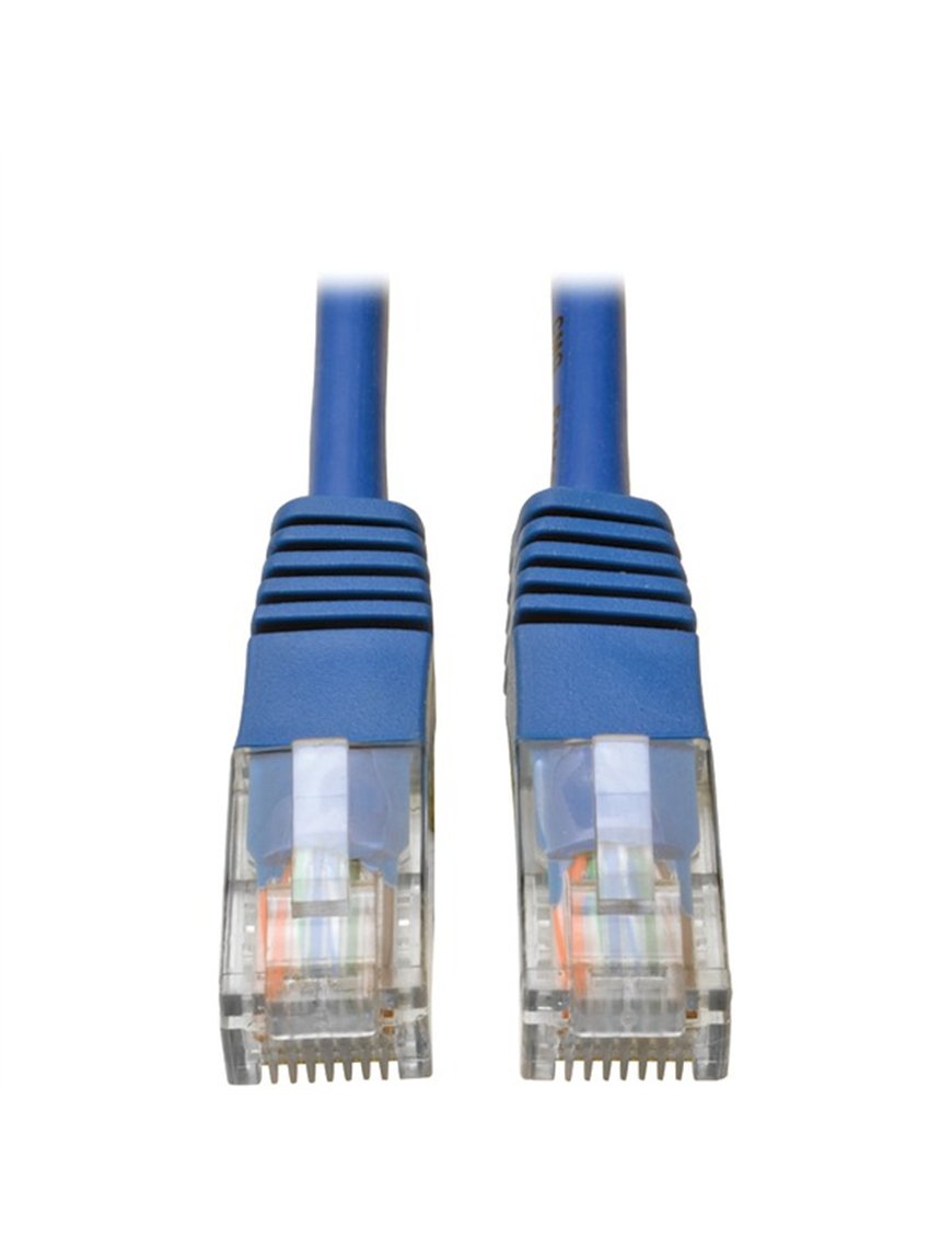 3FT BLU CAT5 CBL