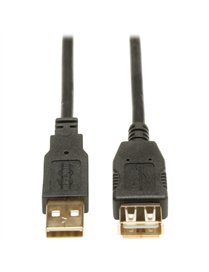 USB EXT CABLE 10 FT