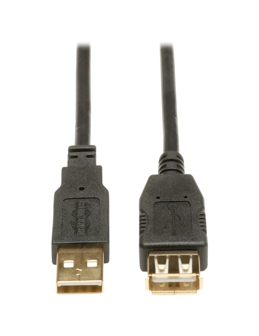 USB EXT CABLE 10 FT