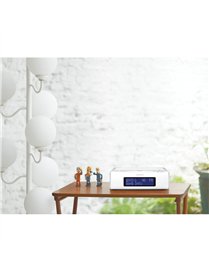 HD AM/FM RBDS CLK RDIO