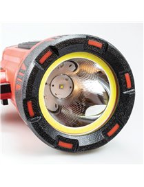 1300LM RCGRGBL SPOTLIGHT