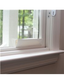 DISCREET WNDW FLY TRAP