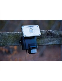 MOTION ACT FLD LIGHT BLK