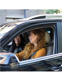 DRIVESMART 66