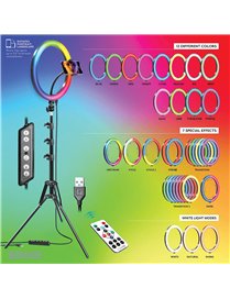 12IN RGB RING LIGHT KIT