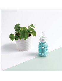 6PK BABY BTL SET MNT/LVR