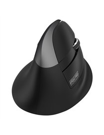 ERGO PRO BT/2.4GHZ VRT MS